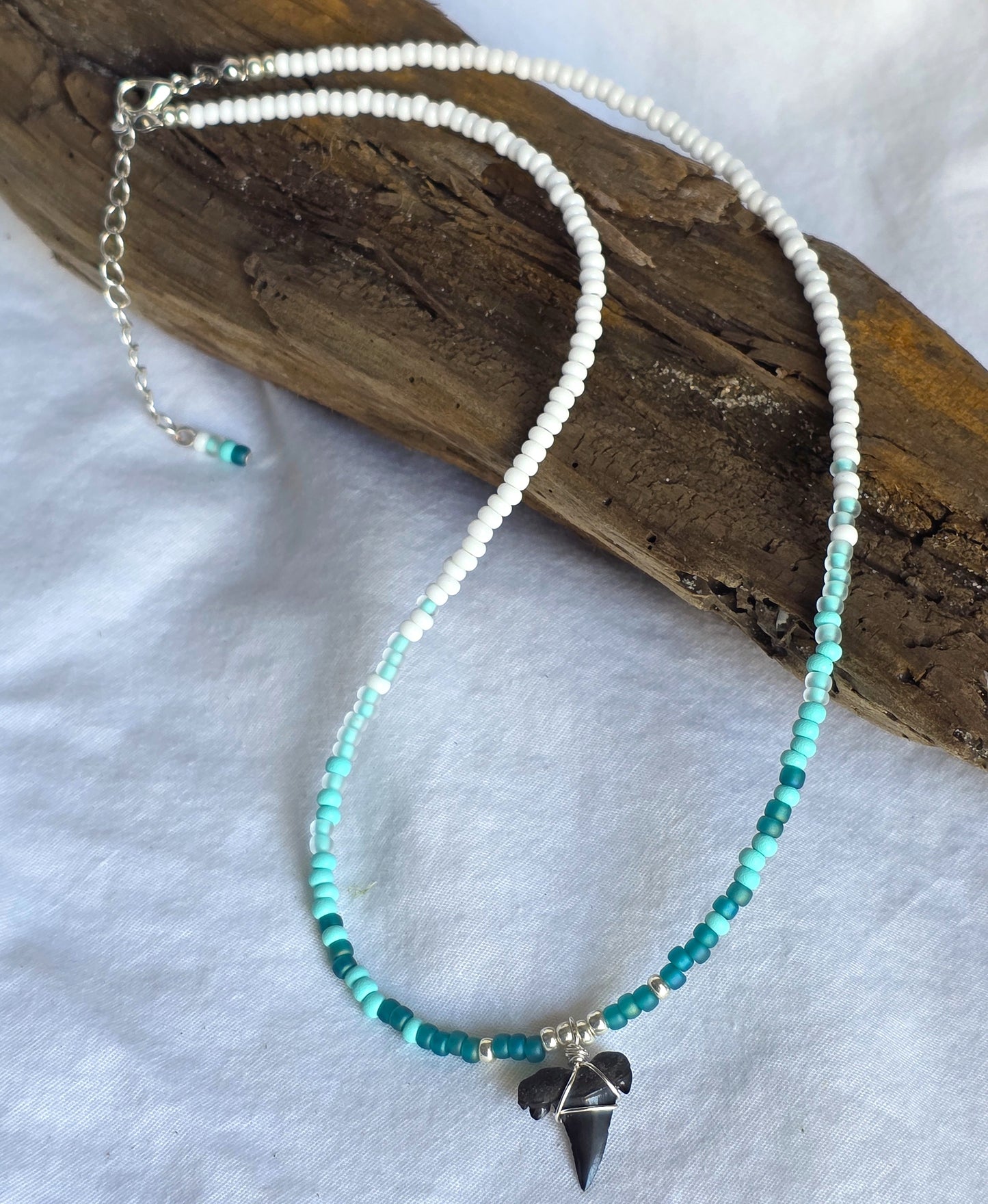 The Sharky--Turquoise Shore
