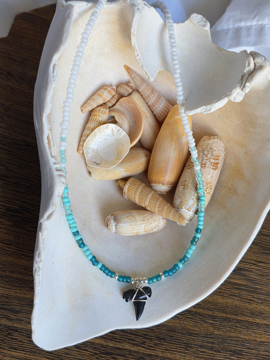 The Sharky--Turquoise Shore